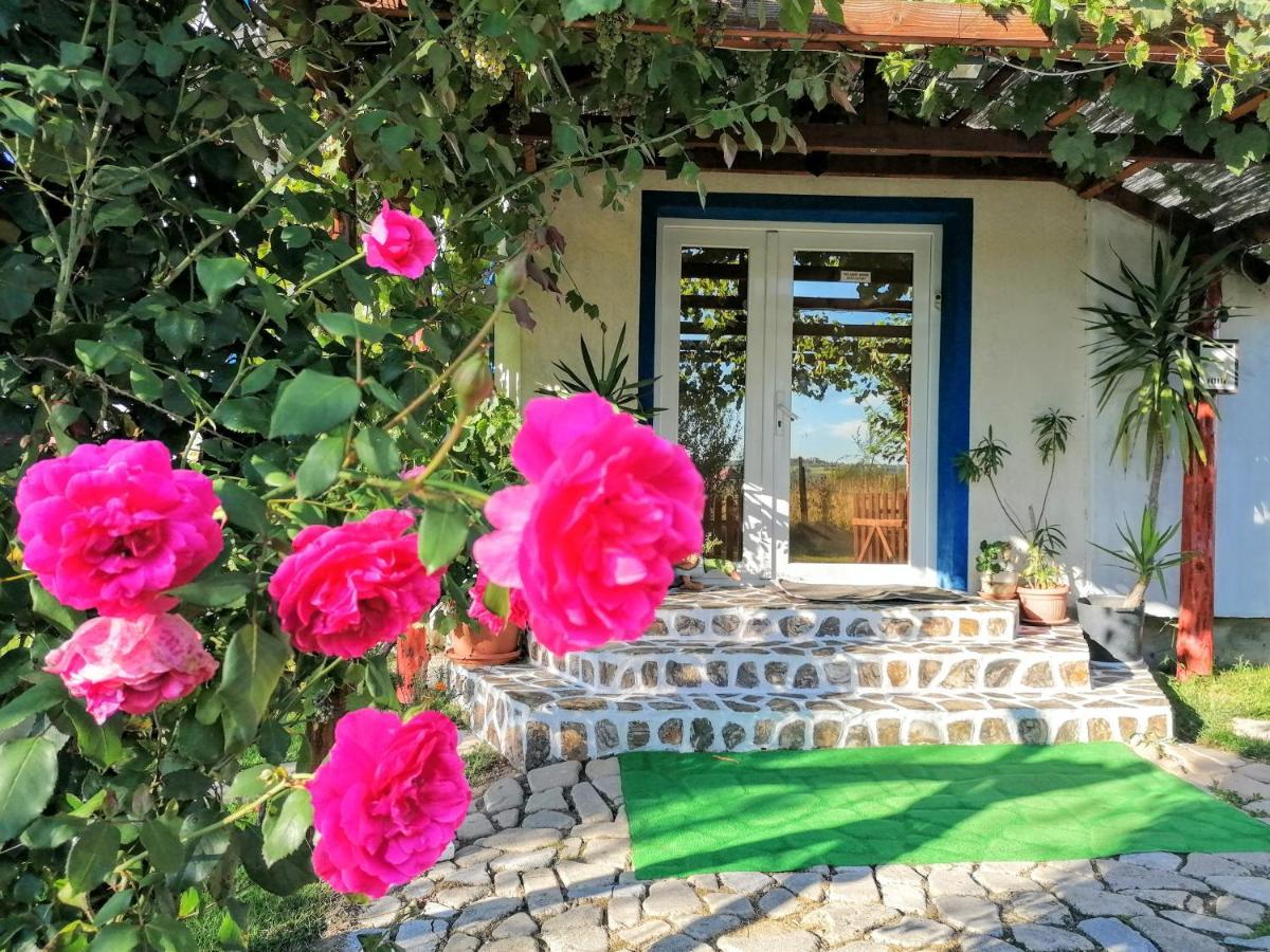 Teo Guest Rooms Baile Felix Luaran gambar