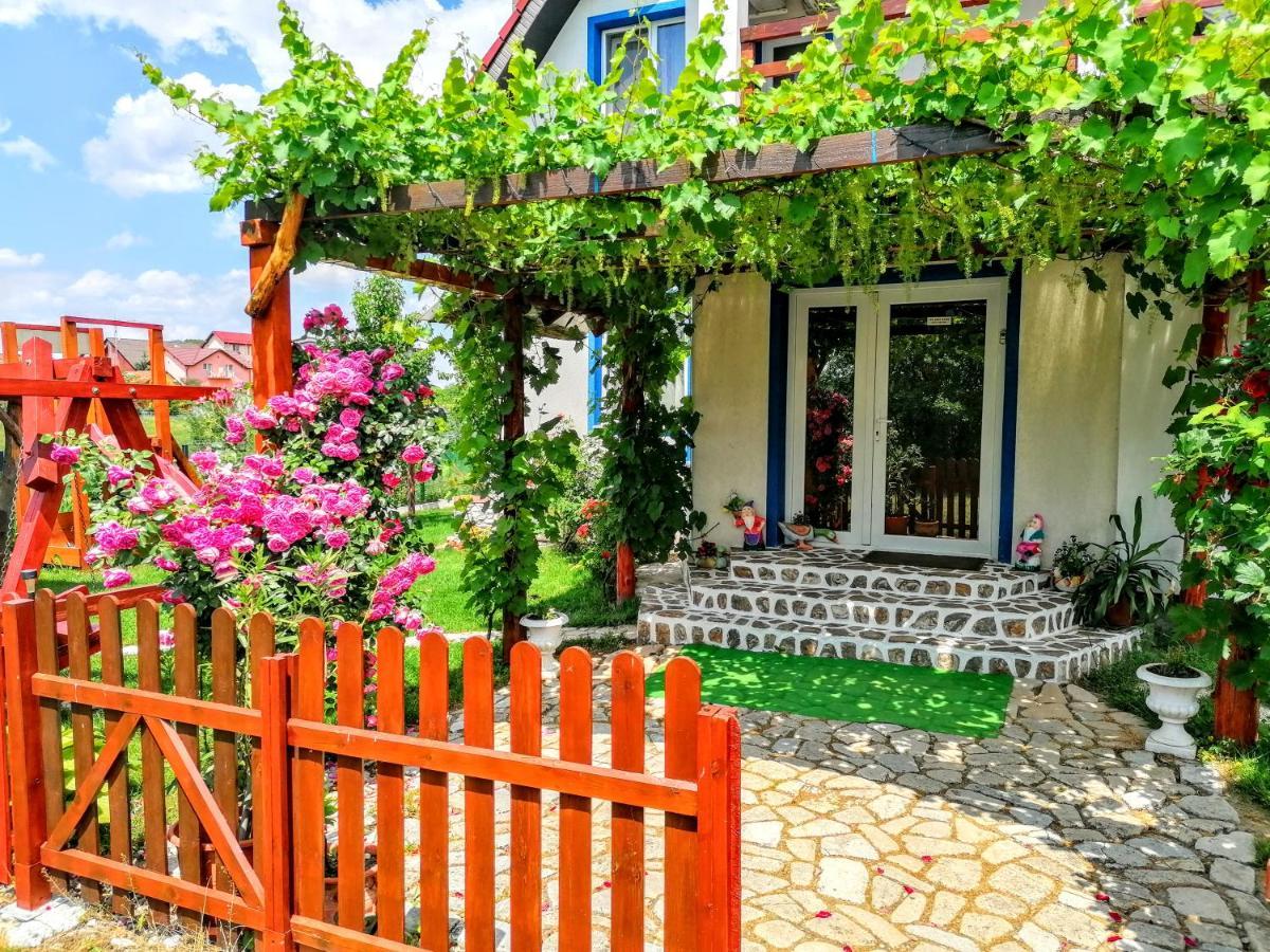 Teo Guest Rooms Baile Felix Luaran gambar